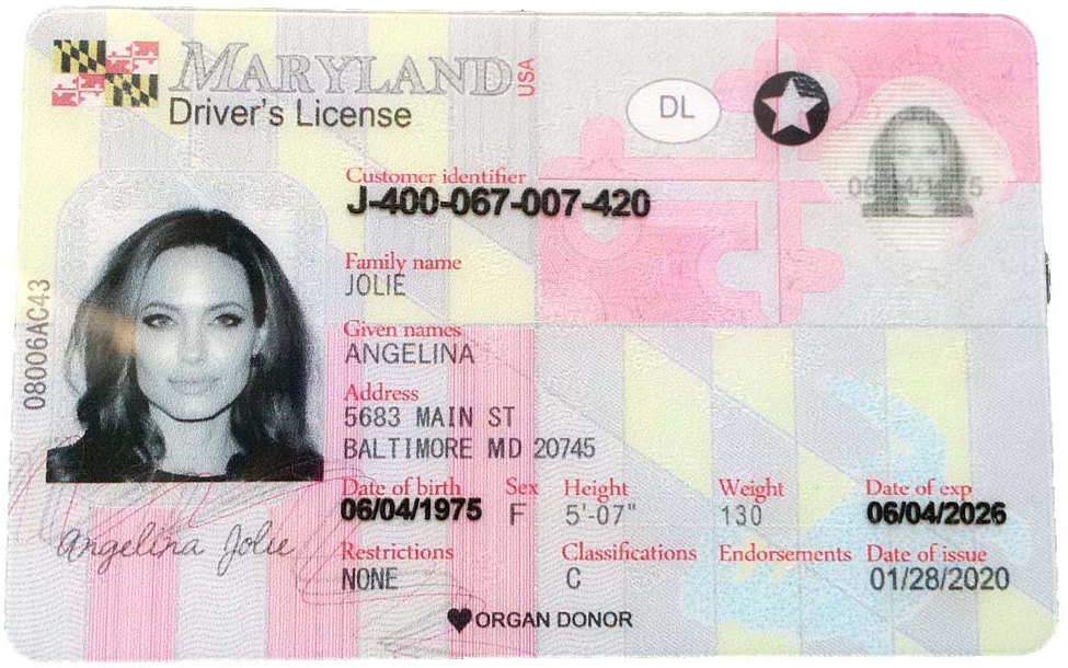 Fake Driving License - Marryland